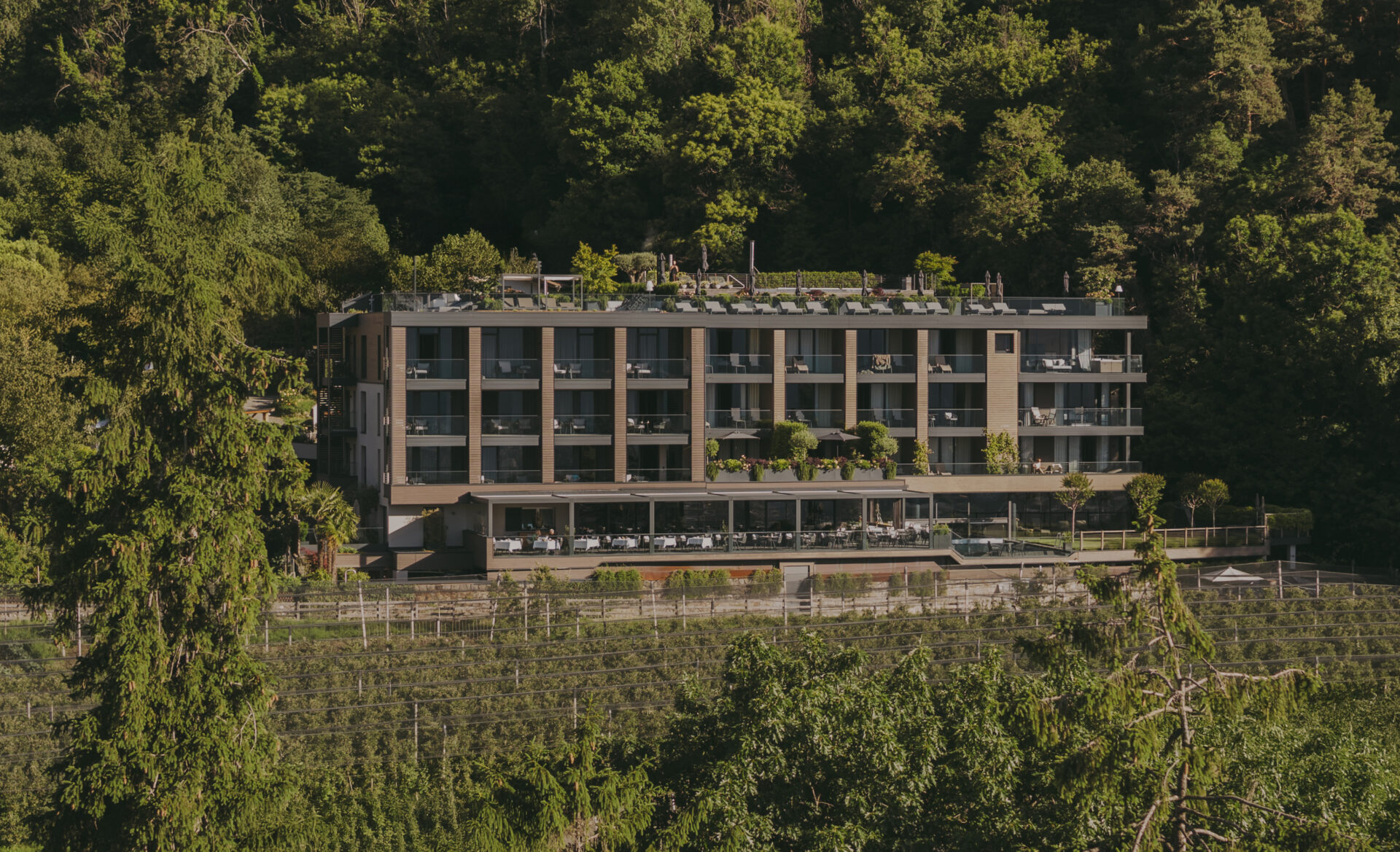 hotel-avidea-25-05-29-upscale-1333